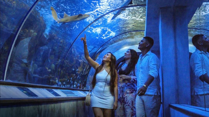 Profitez en famille de l'un des plus impressionnants aquariums avec réserve d'animaux de Santa Marta, transfert et déjeuner inclus !