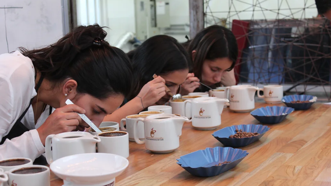 Apprenez le processus de dégustation d'un café de haute qualité grâce à cette visite guidée du café biologique à Medellin !