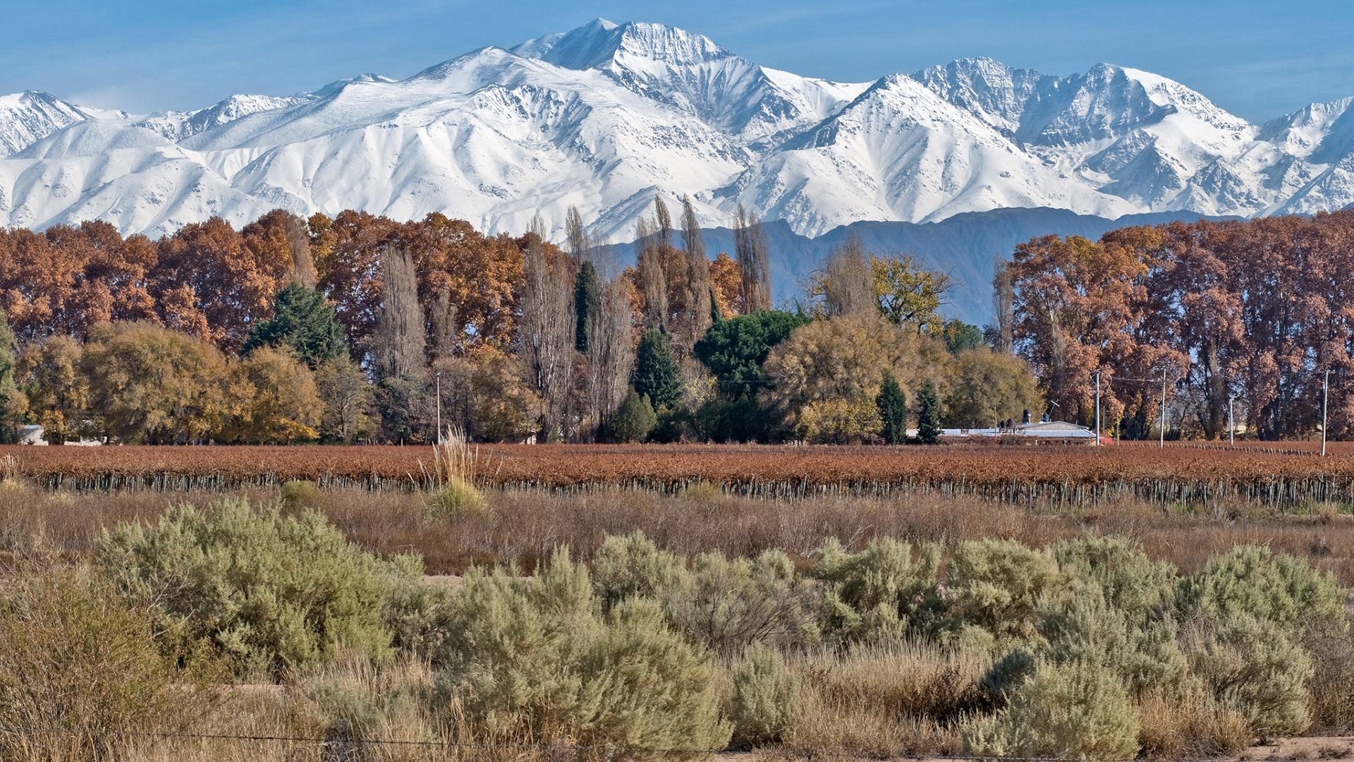 Viajar a Mendoza, Argentina