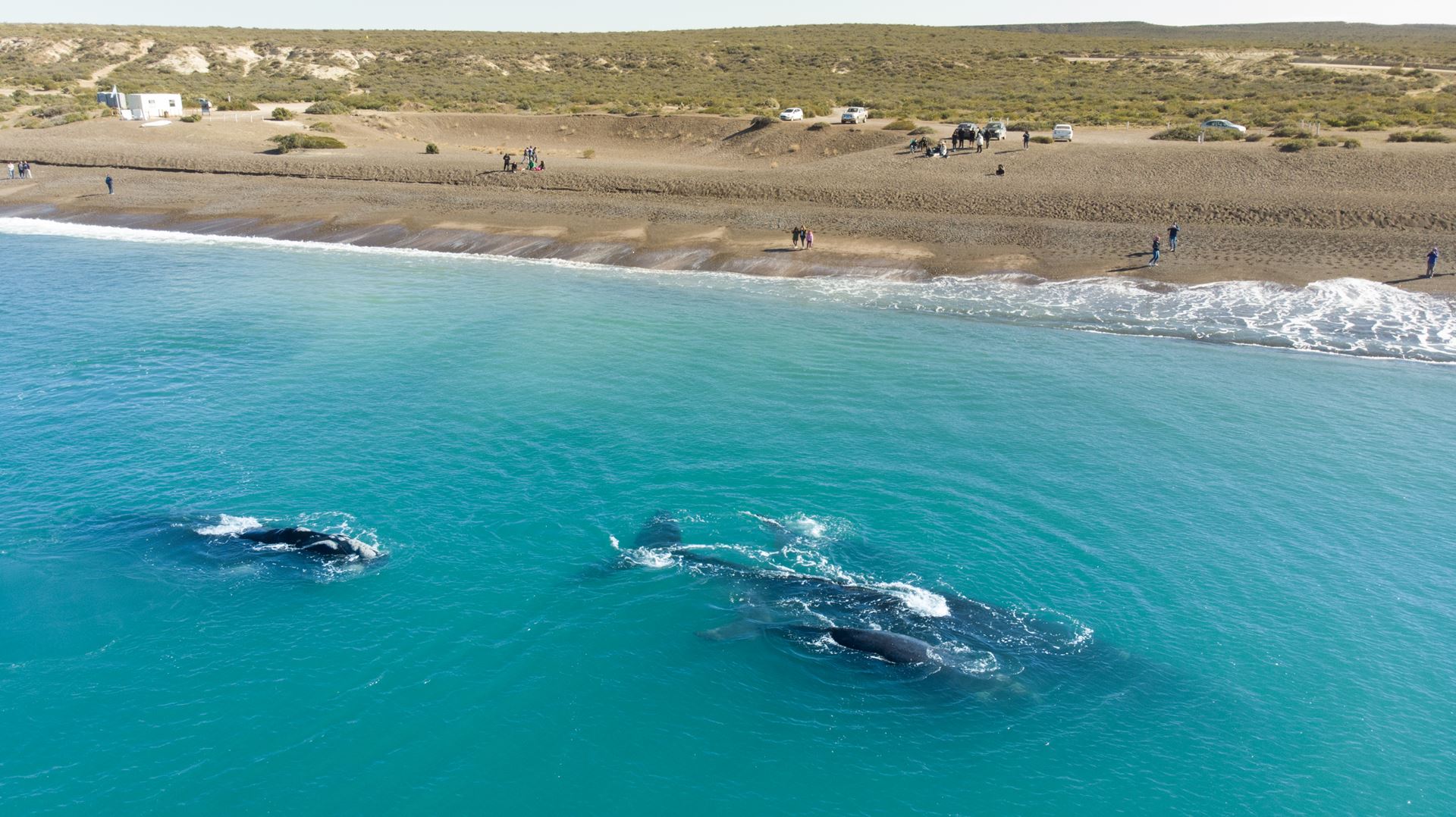 Conoce Puerto Madryn