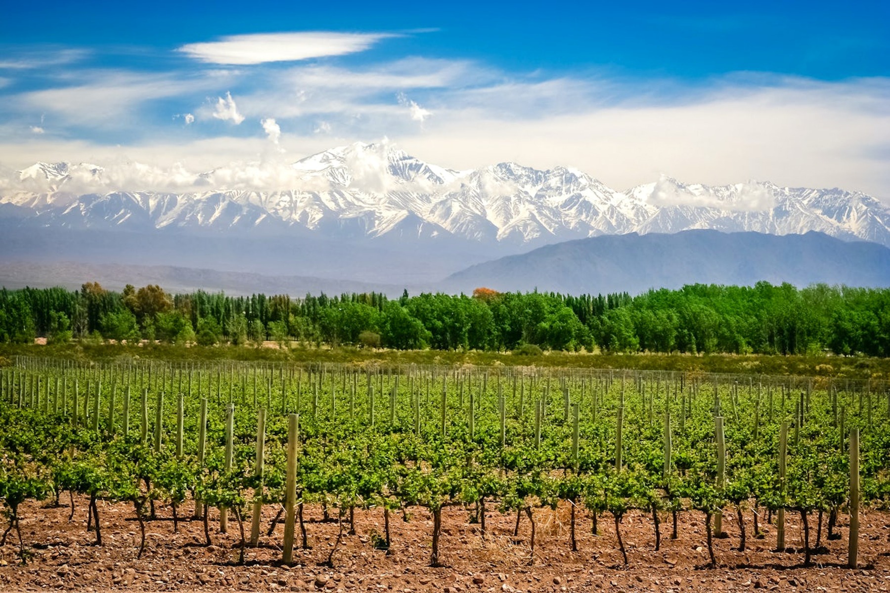 Conoce Mendoza, Argentina