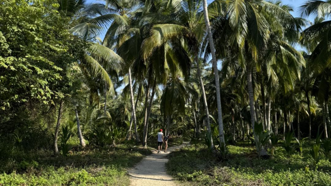 Visitez la baie de Concha à Santa Marta et profitez des paysages naturels de la Colombie !