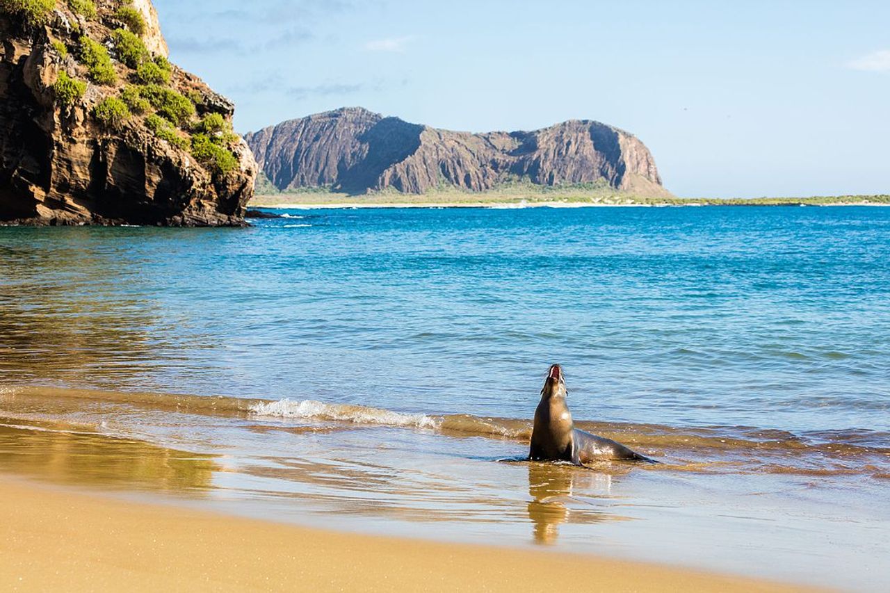 Conoce Galapagos, Ecuador