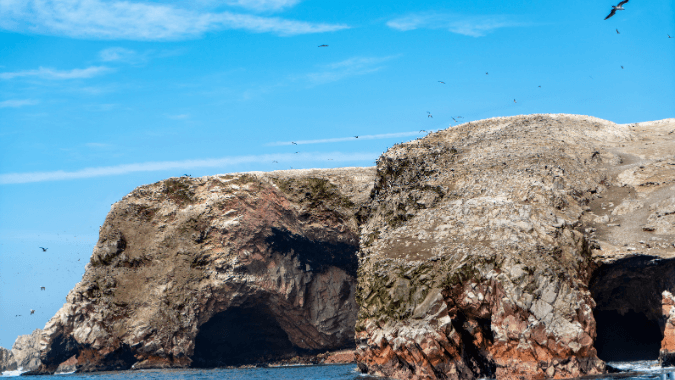 Tour the Ballestas Islands in airplanes, be amazed by the sea lions and the Paracas Peninsula!